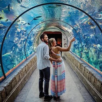 Shark Reef at Mandalay Bay